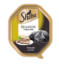 SHEBA DELICATO POLLO IN GELATA 85 GR