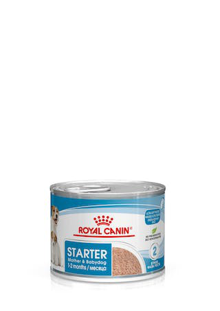 ROYAL DOG STARTER MOUSSE LATTINA 195 GR