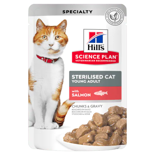 HILLS GATTO STERILIZED SALMONE BUSTINA 85 GR