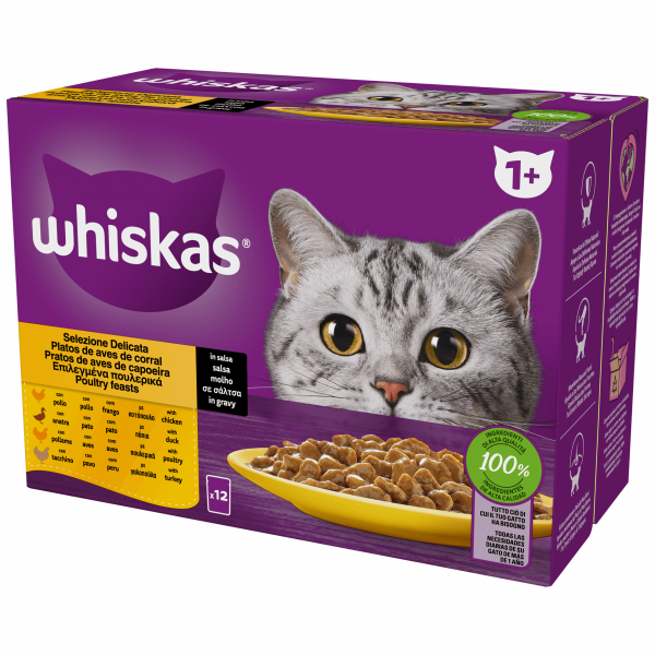 WHISKAS CORE STRACCETTI DELICATO 12 X 85 GR