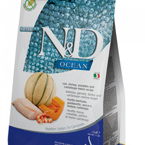N&D Gatto Ocean Zucca Gamberetti E Cantalupo Kitten 300 Gr