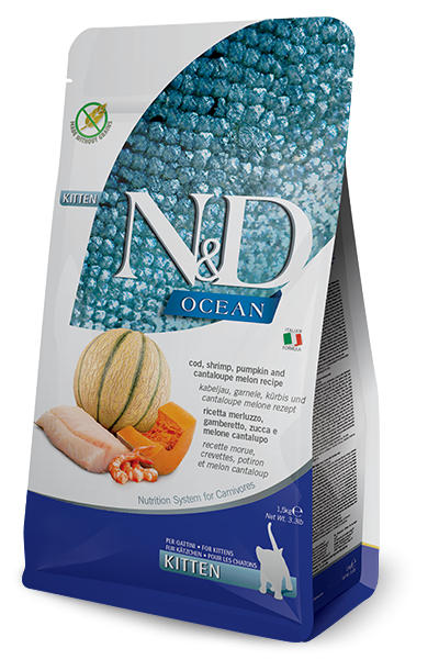 ND CAT OCEAN ZUCCA GAMBERETTI E CANTALUPO KITTEN 300 GR
