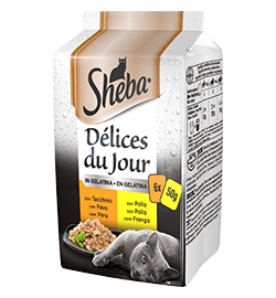 SHEBA DDJ TACCHINO E POLLO GELATINA 6X50GR