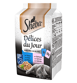 SHEBA DDJ TONNO E SALMONE GELATINA 6X50GR