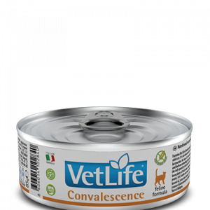 VET LIFE CAT CONVALESCENCE 85 GR
