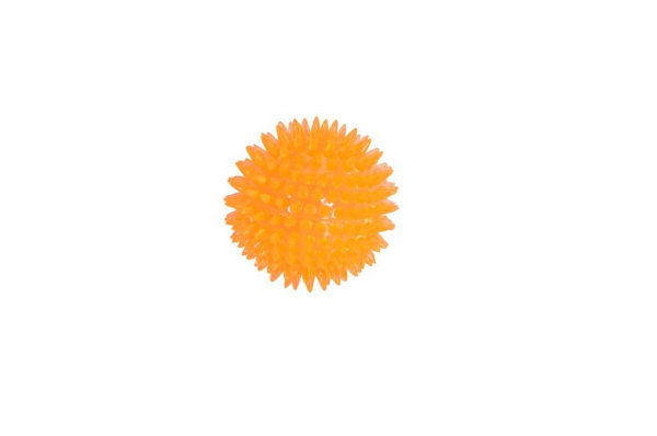GIOCO CANE PALLA CON PUNTE E SQUEAKER 8 CM