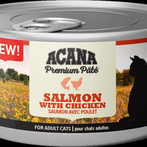 Acana Gatto Pate’ Salmone E Pollo Lattina 85 Gr 24x