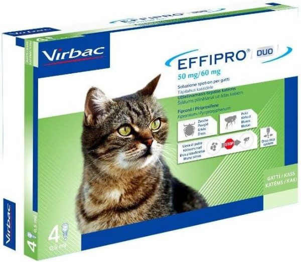 EFFIPRO DUO GATTO 4 PIPETTE