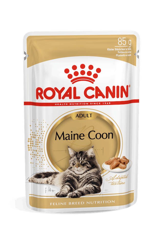 ROYAL CAT MAINE COON 400 GR