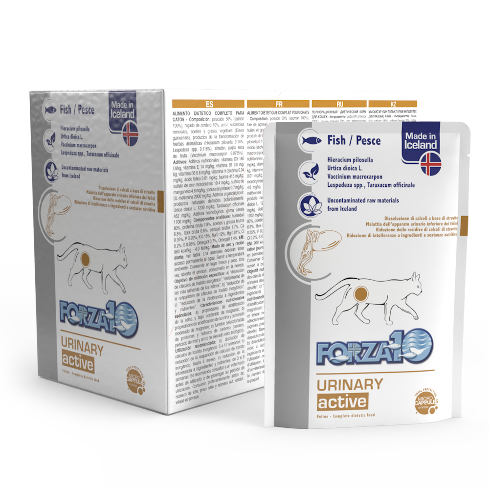FORZA 10 GATTO URINARY ACTIWET BUSTINA 80 GR