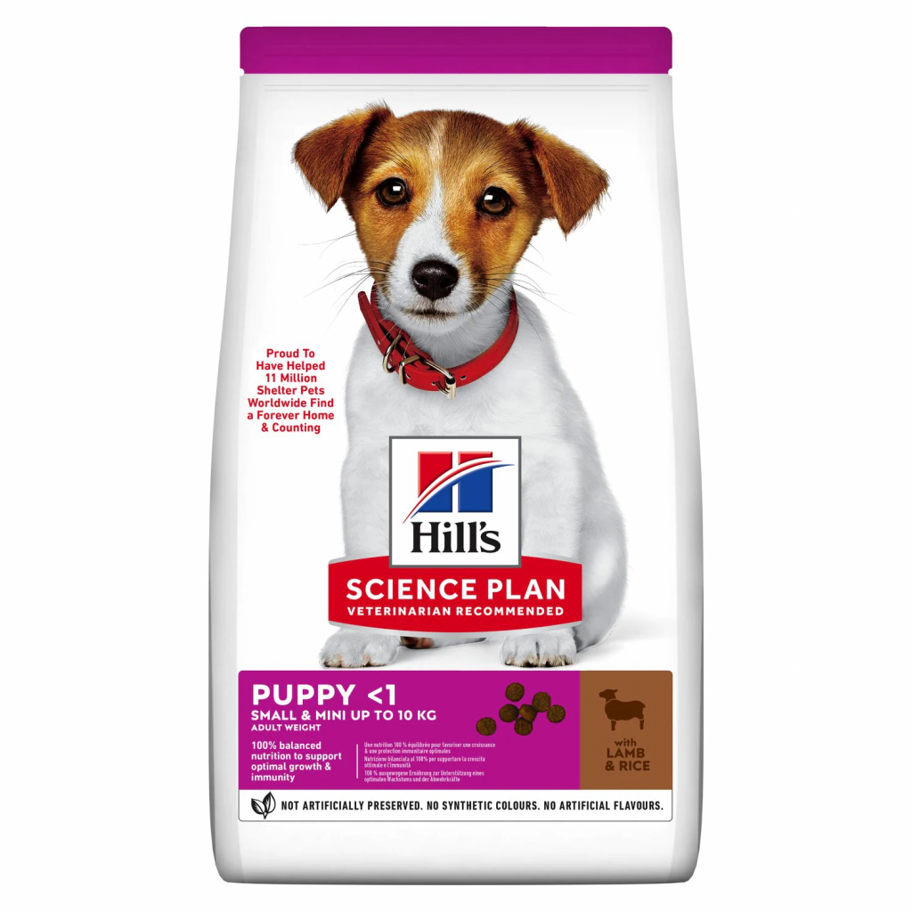 HILLS CANE PUPPY SMALL & MINI AGNELLO 300 GR