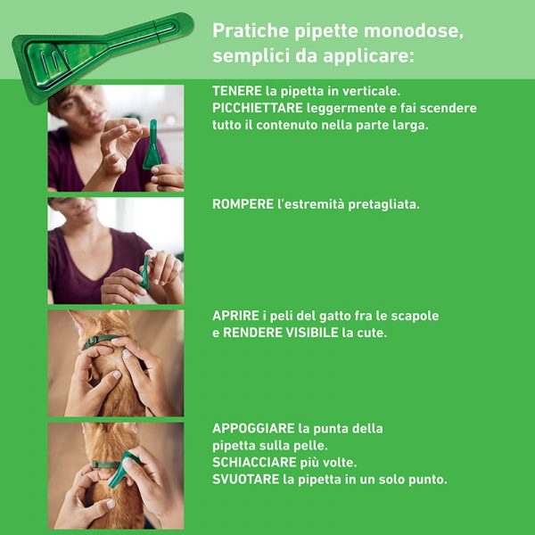FRONTLINE COMBO GATTO 6 PIPETTE
