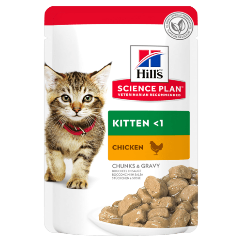 HILLS GATTO KITTEN POLLO BUSTINA 85 GR