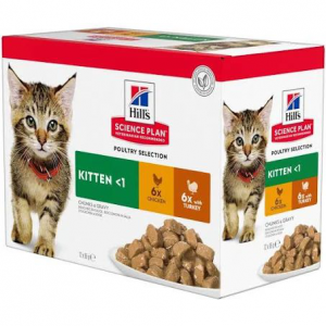 HILLS GATTO KITTEN MIX 12 BUSTINE 85 GR