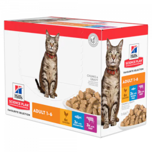HILLS GATTO MIX 12 BUSTINE 85 GR