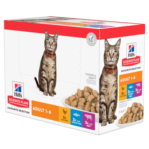 HILLS GATTO MIX 12 BUSTINE 85 GR