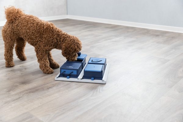 DOG ACTIVITY POKER BOX 1,31X31 CM