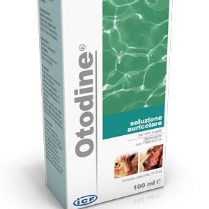 OTODINE 100 ML