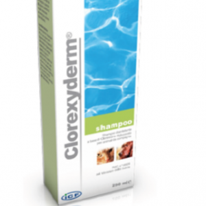 CLOREXYDERM SHAMPOO 250 ML