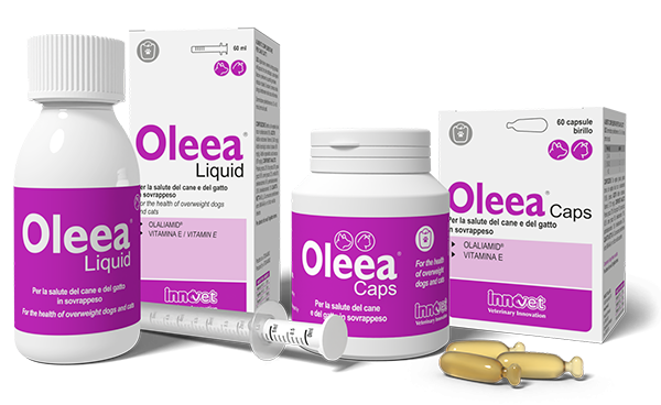 OLEA CAPS 60 BIRILLI