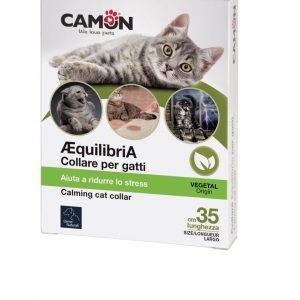 COLLARE EQUILIBRIA PER GATTI