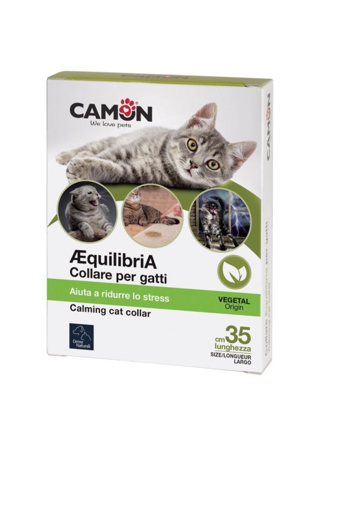 COLLARE EQUILIBRIA PER GATTI