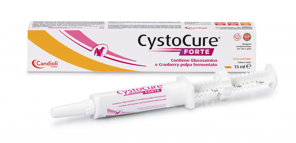 CYSTOCURE FORTE PASTA 15 ML