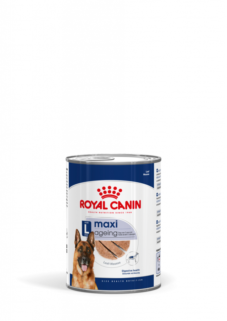 ROYAL DOG MAXI AGEING LATTINA 410 GR