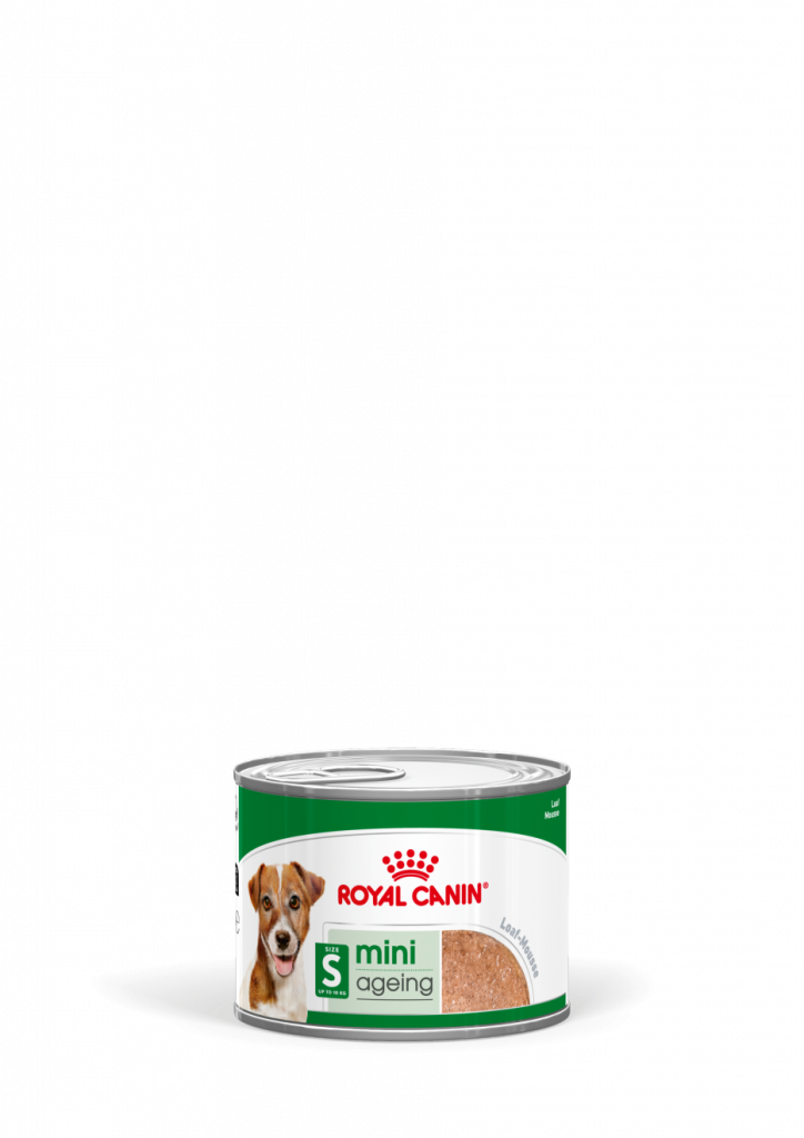 ROYAL DOG MINI AGEING 195 GR