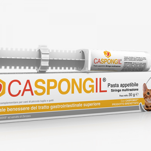 CASPONGIL PASTA 30 GR
