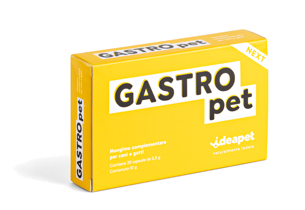 GASTRO PET 20 CAPSULE