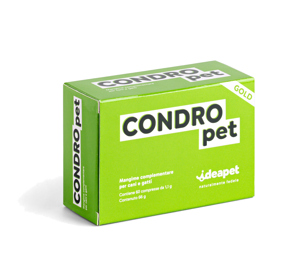 CONDRO PET 60 CPR