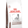 ROYAL DOG HEPATIC 12 KG