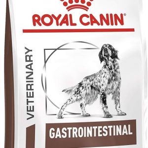 Royal Canin Cane Gastrointestinal 15 Kg