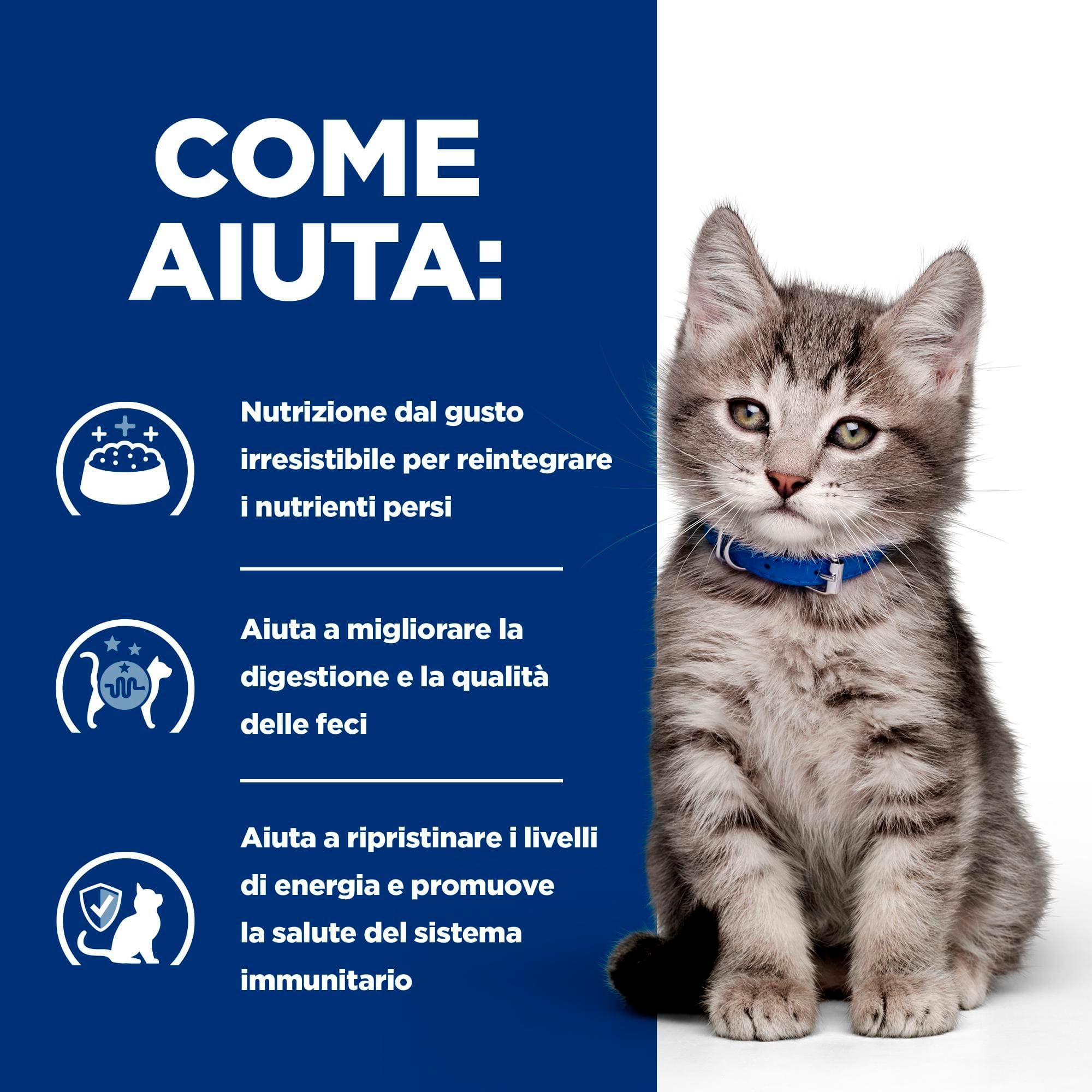 BK37169M Ongoing How it Helps