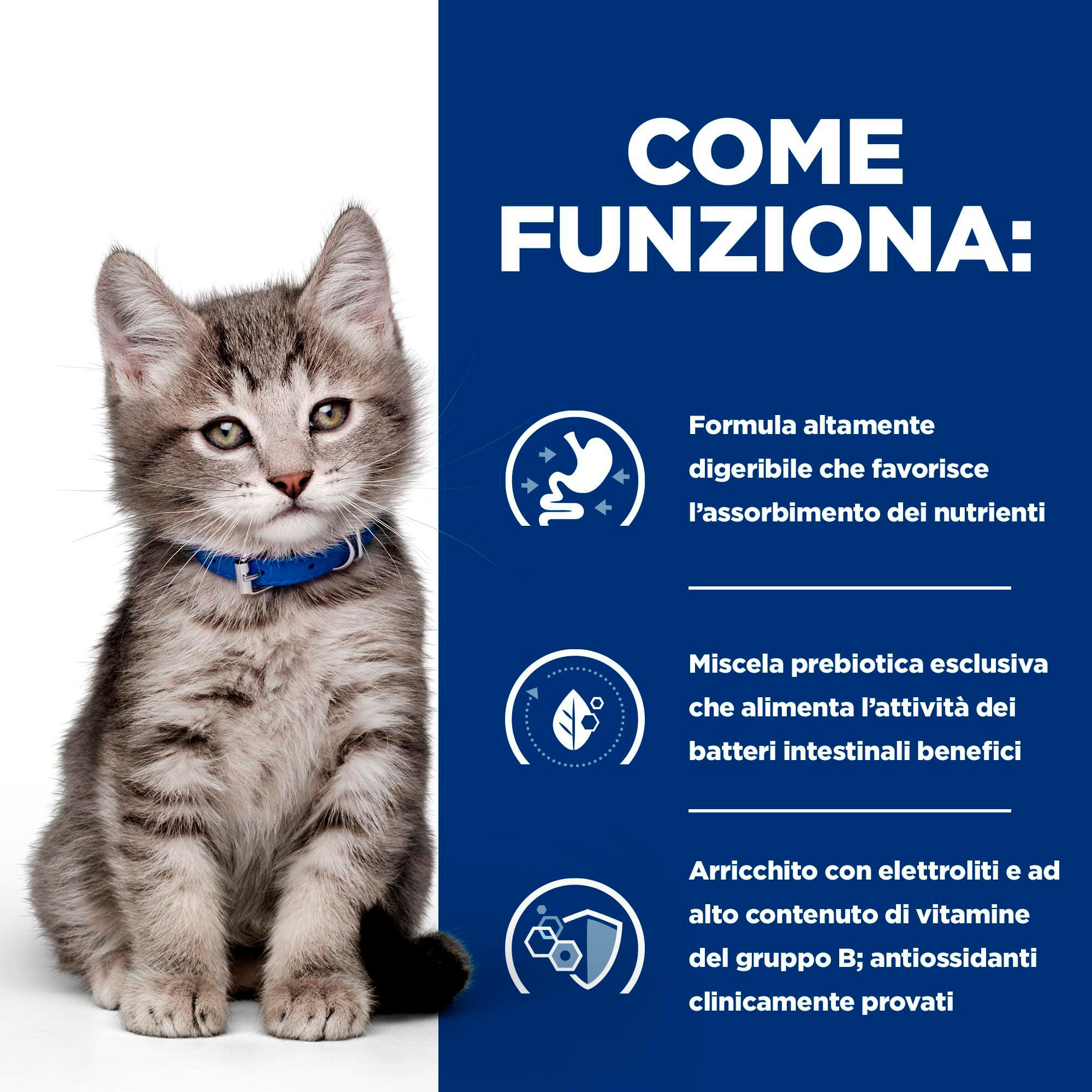 BK37169M Ongoing How it Works