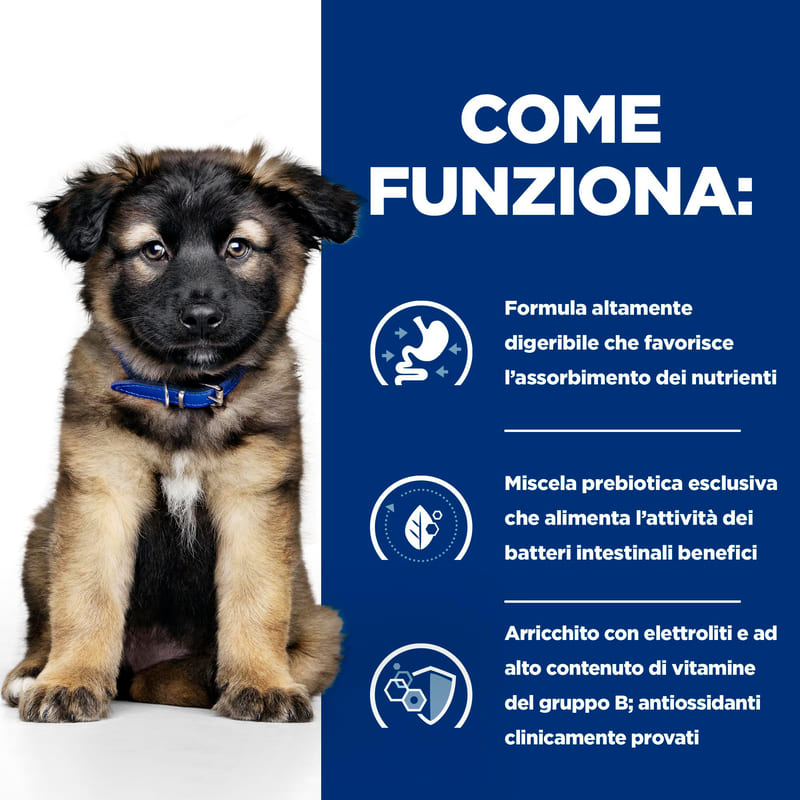 BK37170M Ongoing How it Works