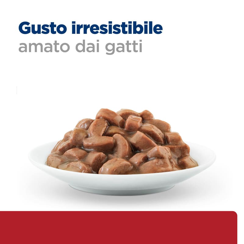 BK37308M Ongoing Food Shot