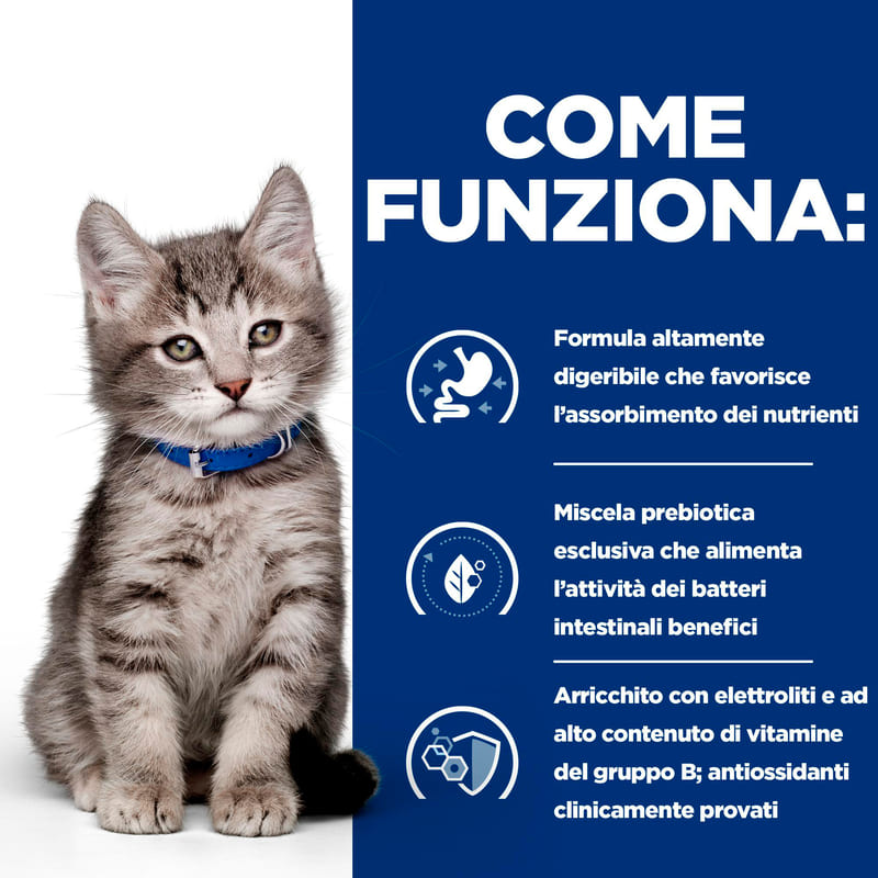 BK37308M Ongoing How it Works