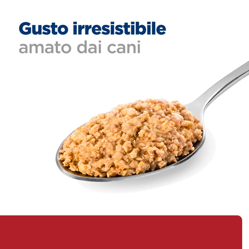 BK37891M Ongoing Food Shot