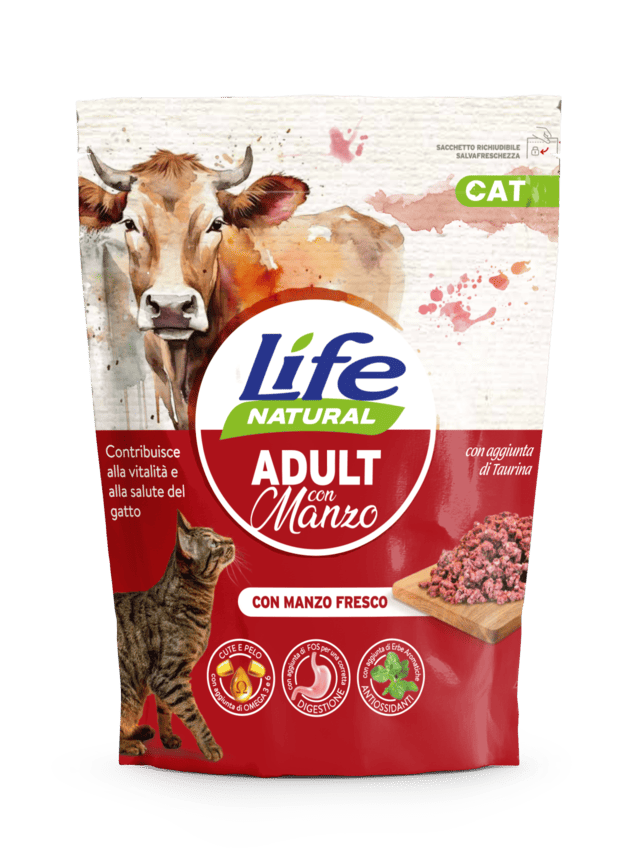 CAT secco adult manzo