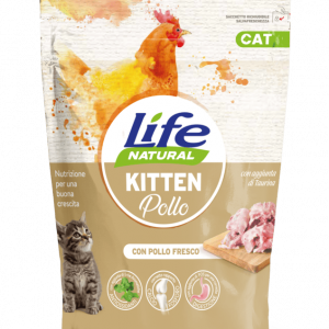 CAT secco kitten POLLO
