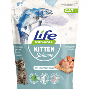 CAT secco kitten SALMONE