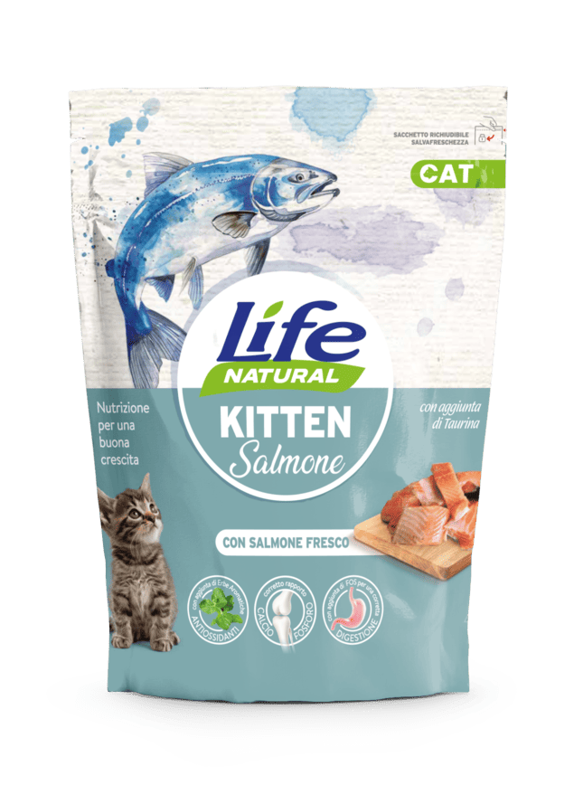 CAT secco kitten SALMONE