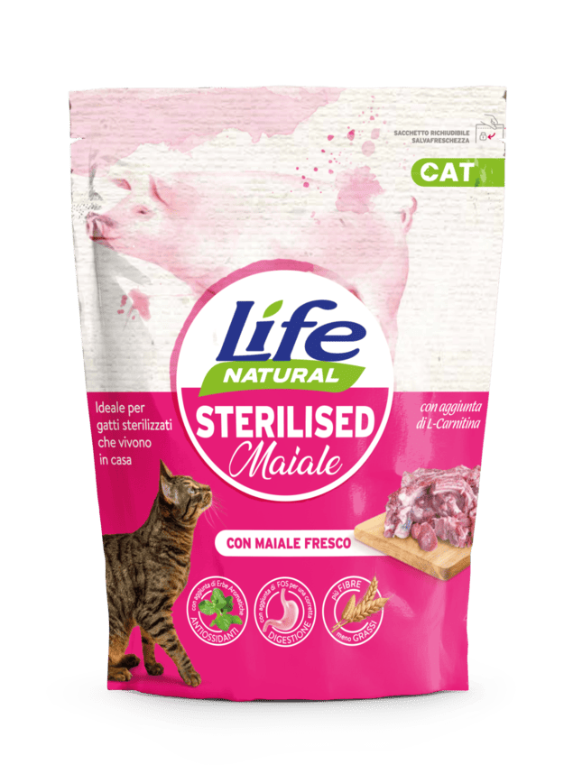 CAT secco sterilized MAIALE