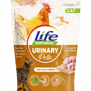 CAT secco urinary POLLO