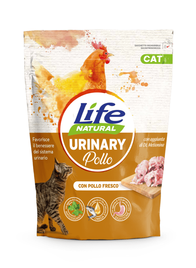 CAT secco urinary POLLO