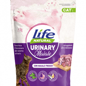 CAT secco urinary maiale