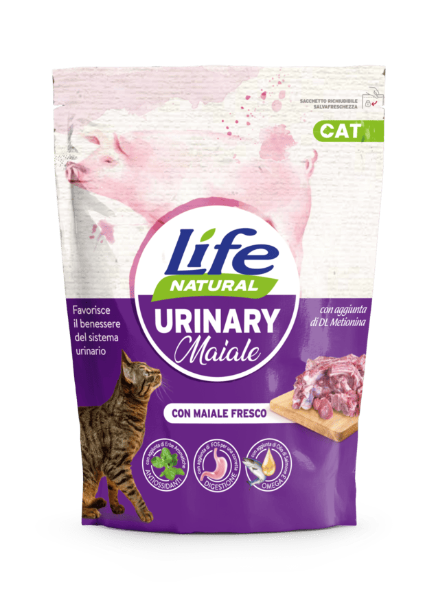 CAT secco urinary maiale