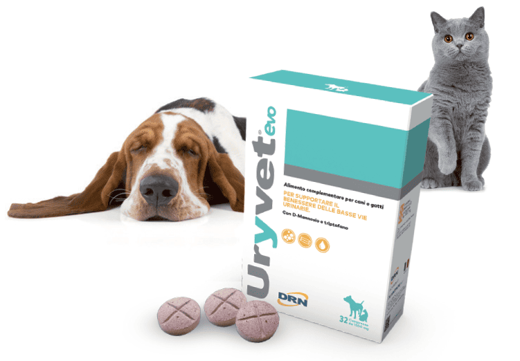 URYVET EVO 1500 MG 32 CPR